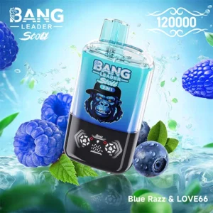 Alternative view of BANG Leader 120K Puffs