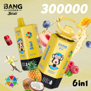 Bang Leader stoll 300K Puffs 6в1