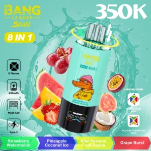 Bang Leader 350K Puffs 8в1